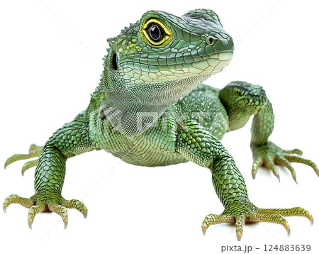 Striking green lizard with emerald tones showcasing detailed scales Striking green lizard with emerald tones showcasing detailed scales 124883639