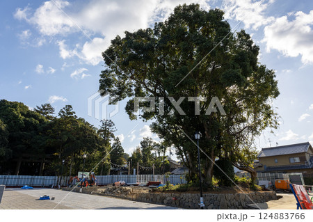 奈良県大神神社／工事中の二の鳥居前（2024年11月撮影） 124883766