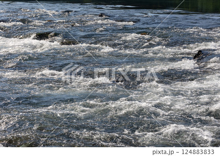 川の流れ 川の流れ 124883833