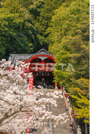 桜咲く寺社境内の石段の風景イメージ【岡山県倉敷市】 桜咲く寺社境内の石段の風景イメージ【岡山県倉敷市】 124885115