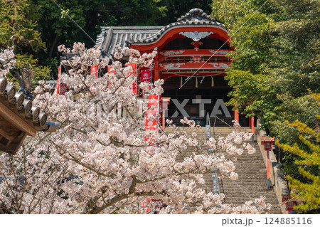 桜咲く寺社境内の石段の風景イメージ【岡山県倉敷市】 124885116