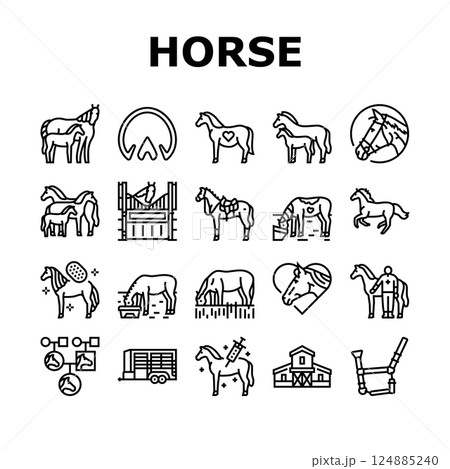 horse breeding equestrian icons set vector 124885240