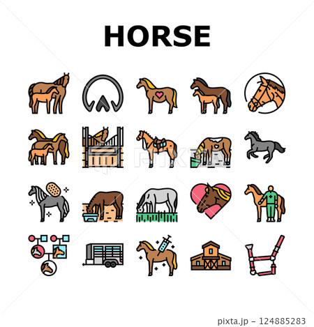 horse breeding equestrian icons set vector 124885283