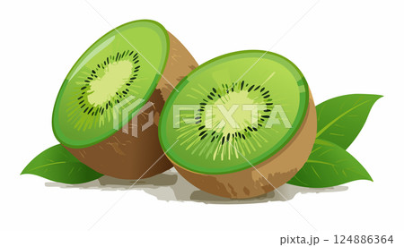 Vector of Fresh kiwi isolated on white background healthy close up. 124886364