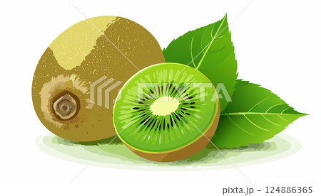 Vector of Fresh kiwi isolated on white background healthy close up. Vector of Fresh kiwi isolated on white background healthy close up. 124886365