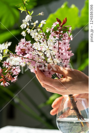 Woman hands touches bouquet of blossoming apricot branches in glass. Japanese Sakura cherry blossoms Woman hands touches bouquet of blossoming apricot branches in glass. Japanese Sakura cherry blossoms 124886366