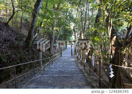奈良県大神神社／神宝神社（2024年11月撮影） 124886393