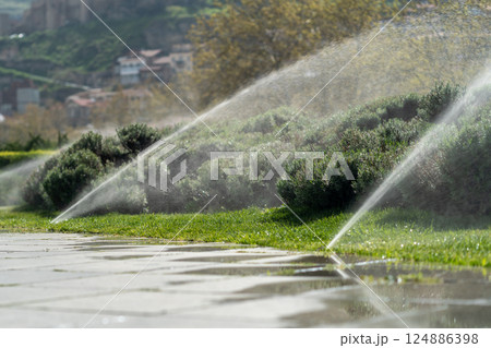 Automatic sprinkler system watering the lawn. Irrigation for plants in public park and city centre. 124886398