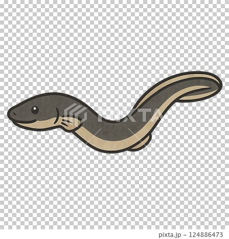 Cute eel illustration 124886473