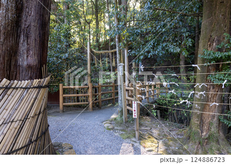 奈良県大神神社/境内への入口(2024年11月撮影) 奈良県大神神社/境内への入口(2024年11月撮影) 124886723