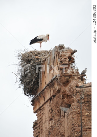 モロッコ、マラケシュ、旧市街、メディナ、コウノトリ モロッコ、マラケシュ、旧市街、メディナ、コウノトリ 124886802