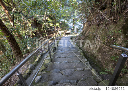 奈良県大神神社／天皇社の石段（2024年11月撮影） 124886931