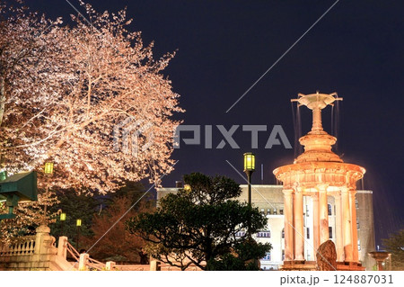 名古屋市、鶴舞公園の夜桜と噴水塔のライトアップ 124887031