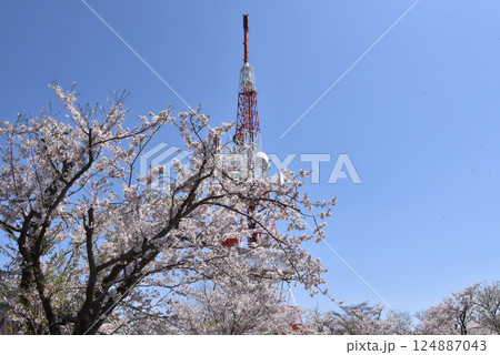 湘南平(高麗山公園) 湘南平(高麗山公園) 124887043
