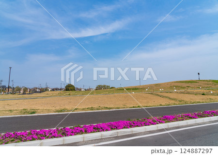 船頭場公園、名古屋市初の命山〈愛知県名古屋市〉 124887297