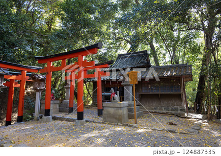 奈良県大神神社／成願稲荷神社（2024年11月撮影） 124887335