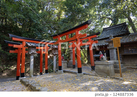 奈良県大神神社／成願稲荷神社（2024年11月撮影） 124887336