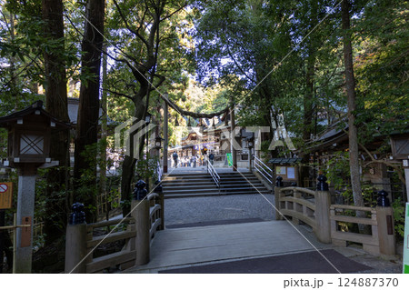 奈良県大神神社/境内への入口(2024年11月撮影) 奈良県大神神社/境内への入口(2024年11月撮影) 124887370