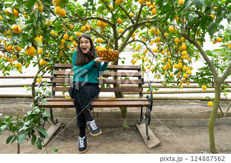 A woman and a basket of ripe lemons. Growing lemons A woman and a basket of ripe lemons. Growing lemons 124887562