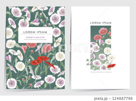 A Colorful Field of Blooming Dianthus Flowers. Vector illustration of template set. A Colorful Field of Blooming Dianthus Flowers. Vector illustration of template set. 124887798
