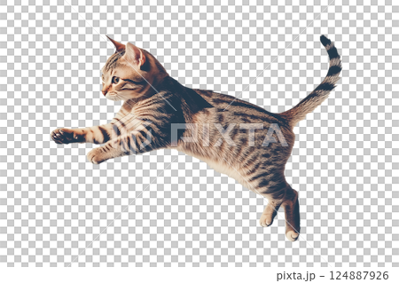 AI生成画像：ジャンプする猫(png) 124887926