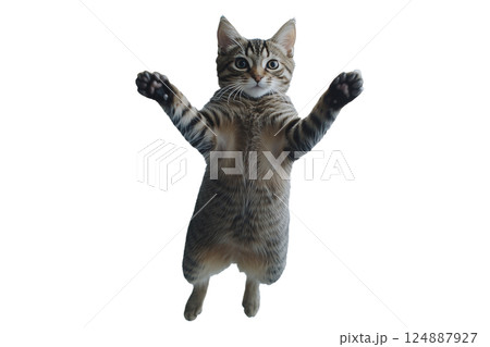 AI生成画像：ジャンプする猫(png) 124887927