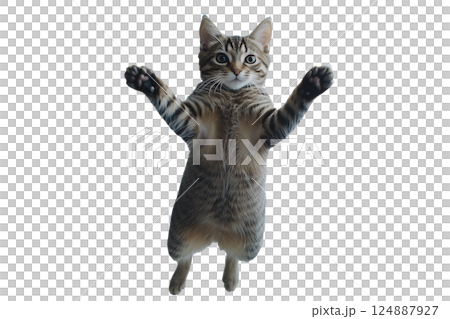 AI生成画像：ジャンプする猫(png) 124887927