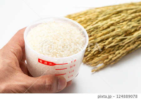 計量カップに入った米を持つ手 124889078