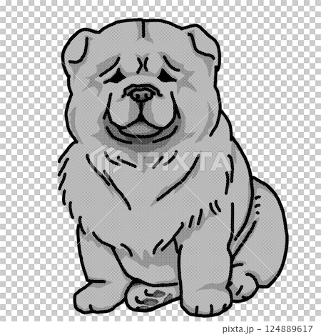 チャウチャウ　子犬　背景透過　犬のイラスト 124889617
