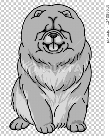 Chow Chow Transparent background Dog illustration 124889619