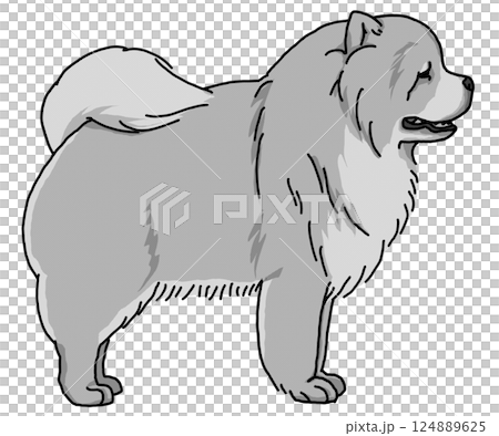 鬆獅犬透明背景狗插圖 124889625