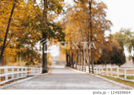 Out of focus tranquil autumn park with walkway lined surrounded by trees with yellow orange leaves, white wooden rustic fences in sunny day. Sense of peace and nature, relaxation or outdoor adventure Out of focus tranquil autumn park with walkway lined surrounded by trees with yellow orange leaves, white wooden rustic fences in sunny day. Sense of peace and nature, relaxation or outdoor adventure 124889664