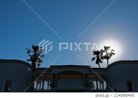 青空に映えるヤシの木 青空に映えるヤシの木 124890495