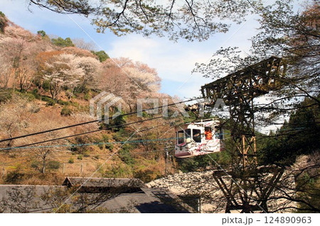 桜の名所・吉野山とケーブル 桜の名所・吉野山とケーブル 124890963