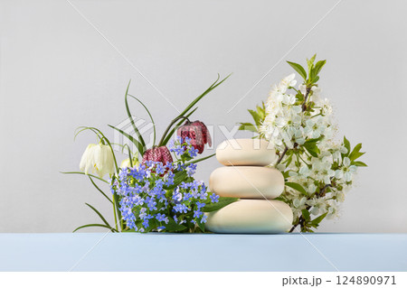 Wood slice podium with spring flowers grouse, blue brunnera sibirica, branches of cherry blossoms.. Concept scene stage showcase for new product, banner, promotion sale, cosmetic, presentation 124890971