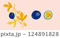 Passion fruit branch vector illustration. Fruit, branch and sliced pieces. Exotic food illustration for label, poster, print, menu. 124891828