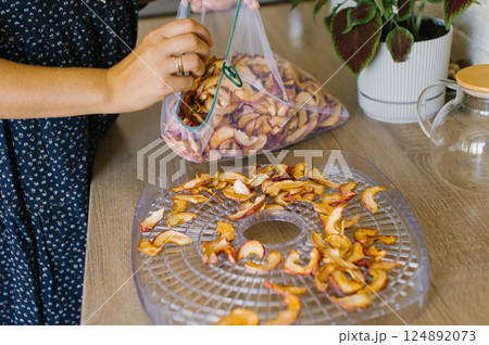 Woman Preparing Dried Apple Slices on a Dehydrator Tray 124892073