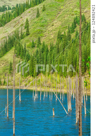 legendary lake with dead trees in almaty. reservoir with clean drinking water in kazakhstan 124892421