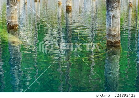 Lake Kaindy in the mountains Almaty. Frozen pines in icy water Kazakhstan. Tree trunks in the lake Lake Kaindy in the mountains Almaty. Frozen pines in icy water Kazakhstan. Tree trunks in the lake 124892425