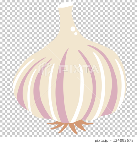 Garlic Illustration of fresh vegetables hand-drawn flat vector elements Organic Food Invitations, gifts, greeting cards, print, textile 124892678