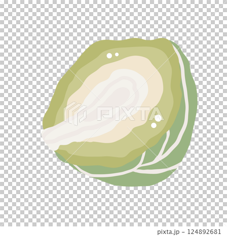 Brussels sprout Illustration of fresh vegetables hand-drawn flat vector elements Organic Food Invitations, gifts, greeting cards, print, textile 124892681