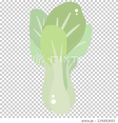 Bokchoy Illustration of fresh vegetables hand-drawn flat vector elements Organic Food Invitations, gifts, greeting cards, print, textile Bokchoy Illustration of fresh vegetables hand-drawn flat vector elements Organic Food Invitations, gifts, greeting cards, print, textile 124892683