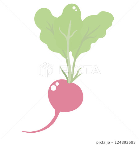 Radish Illustration of fresh vegetables hand-drawn flat vector elements Organic Food Invitations, gifts, greeting cards, print, textile 124892685