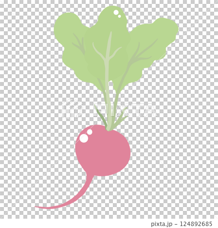 Radish Illustration of fresh vegetables hand-drawn flat vector elements Organic Food Invitations, gifts, greeting cards, print, textile 124892685