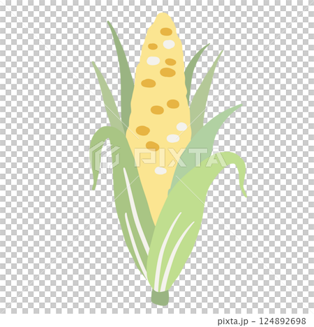 corn Illustration of fresh vegetables hand-drawn flat vector elements Organic Food Invitations, gifts, greeting cards, print, textile corn Illustration of fresh vegetables hand-drawn flat vector elements Organic Food Invitations, gifts, greeting cards, print, textile 124892698
