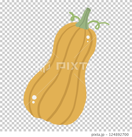 Squash Illustration of fresh vegetables hand-drawn flat vector elements Organic Food Invitations, gifts, greeting cards, print, textile Squash Illustration of fresh vegetables hand-drawn flat vector elements Organic Food Invitations, gifts, greeting cards, print, textile 124892700