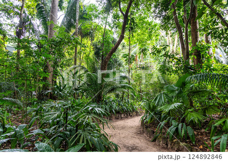 Museum Emilio Goeldi at Belem, Brazil. A Research Institute and Museum with Fauna and Flora from Brazilian Amazon 124892846