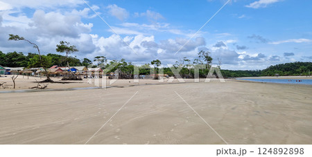 Barra velha beach at Soure, Marajo in Para, Brazil. Beautiful beach and mangrove trees with their great crooked roots 124892898