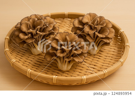 採れたての舞茸　特用林産物 124893954