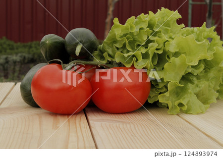 Freshly Picked Set of Lettuce and Domestic Vegetables Preparing to Cooking Green Salad  124893974